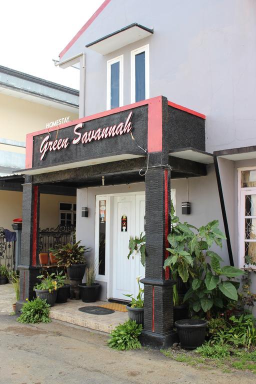 Green Savannah Homestay Syariah Diyeng Exteriér fotografie