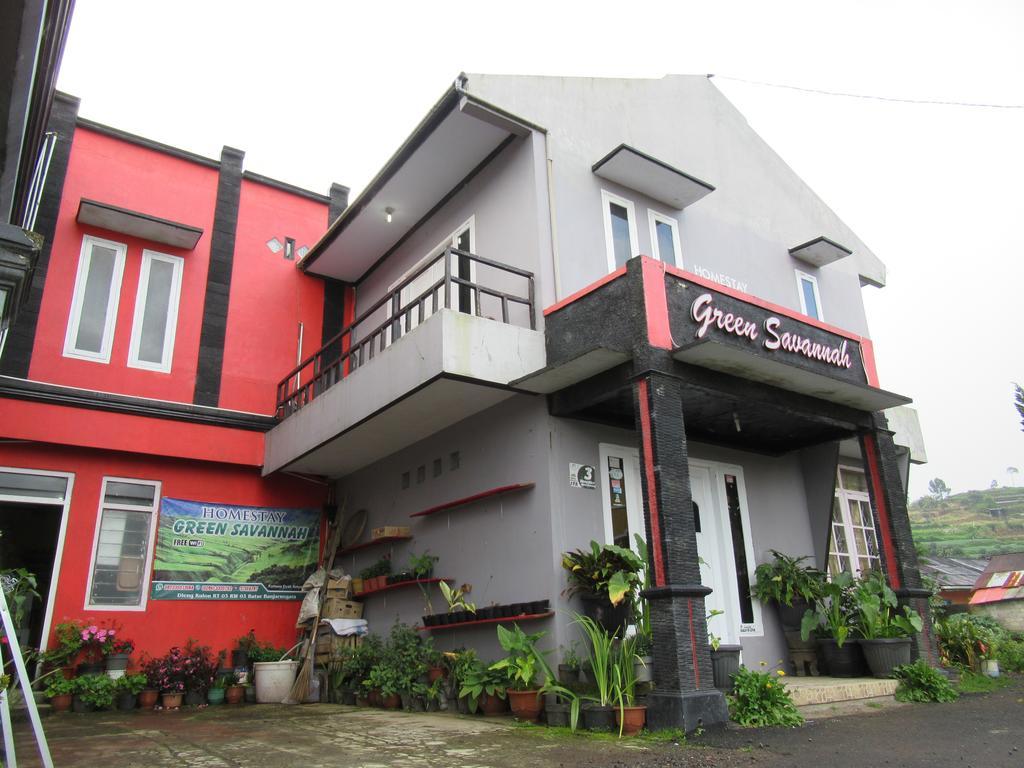 Green Savannah Homestay Syariah Diyeng Exteriér fotografie